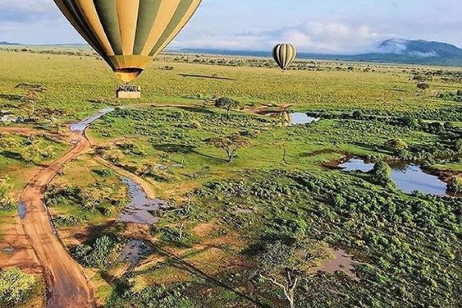 Serengeti Balloon Safari