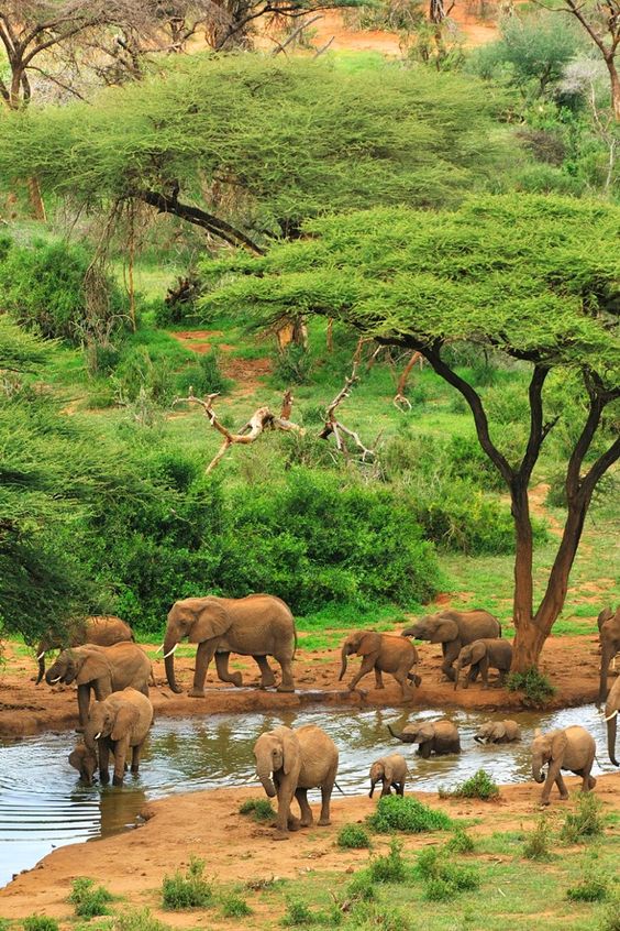 Afrosafari Travel & Tour