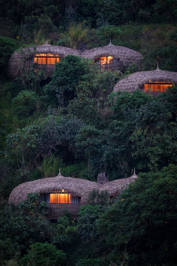 Afrosafari Travel & Tour