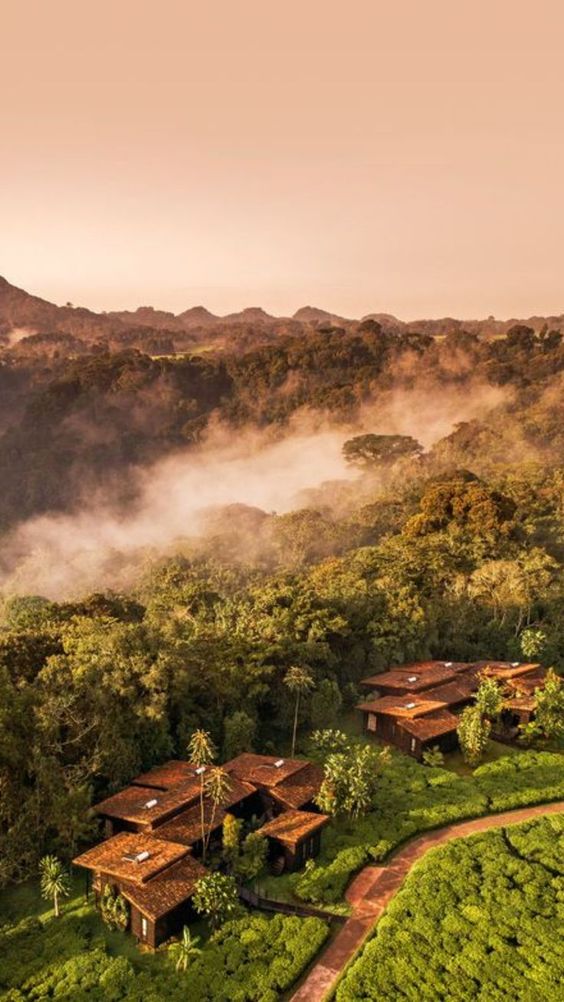Afrosafari Travel & Tour